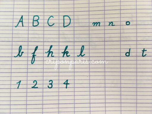 フランスにしか存在しないノート!?セイエス罫線ノートの謎に迫る