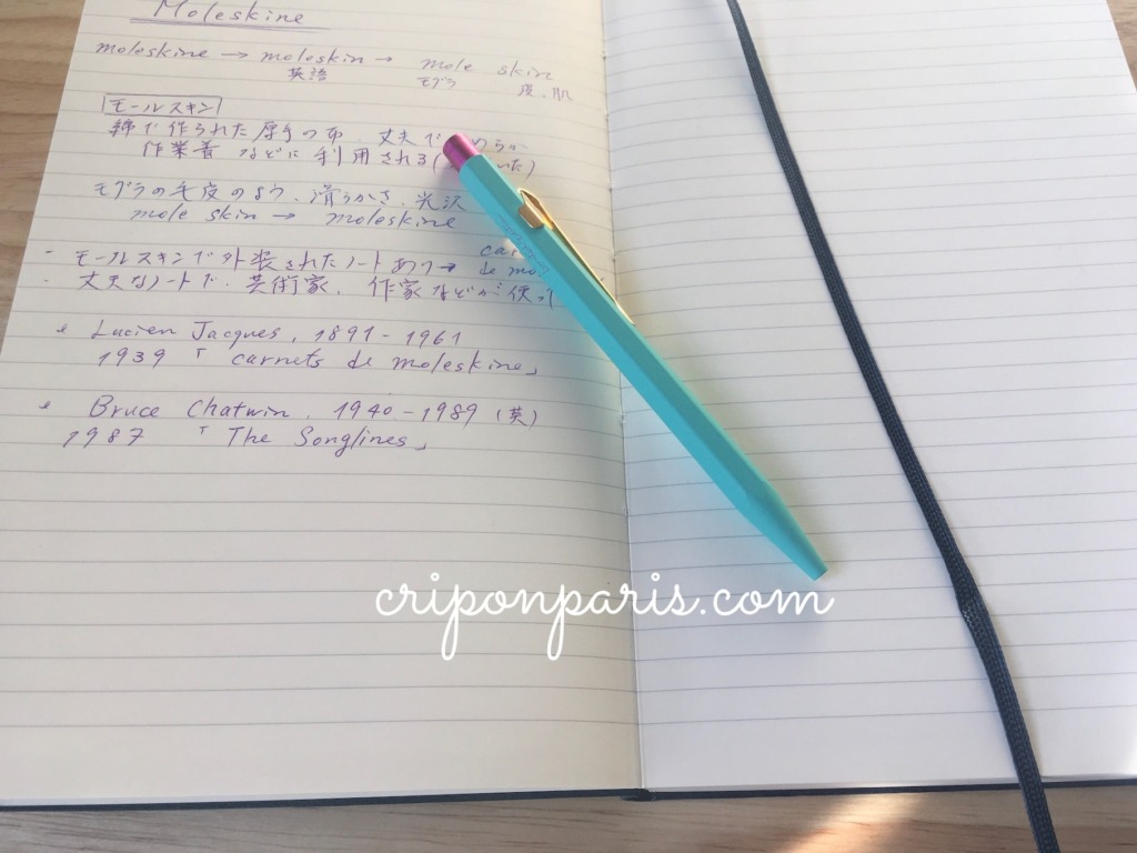 ボールペンでノートに書き込んだ様子