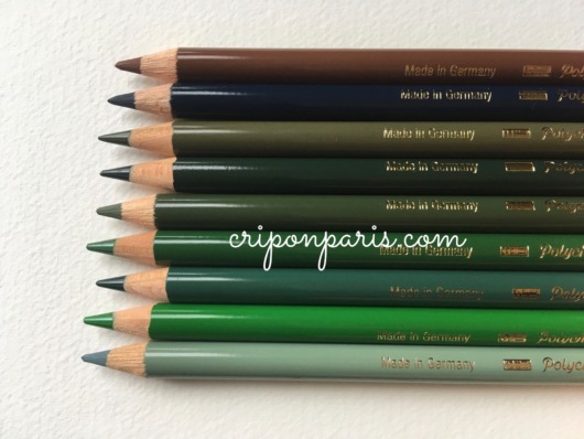 単品購入した色鉛筆1