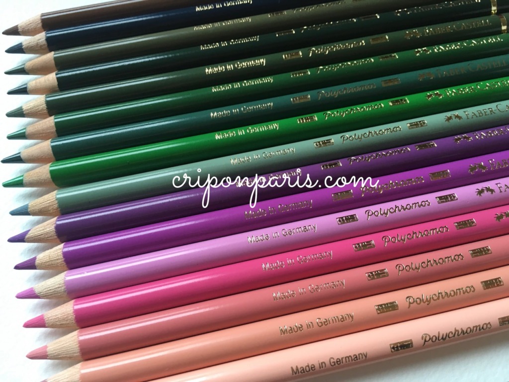 16本の色鉛筆